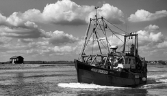 ddos攻击防御手段