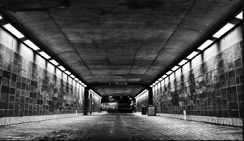 一键导出报告的服务器攻击方式