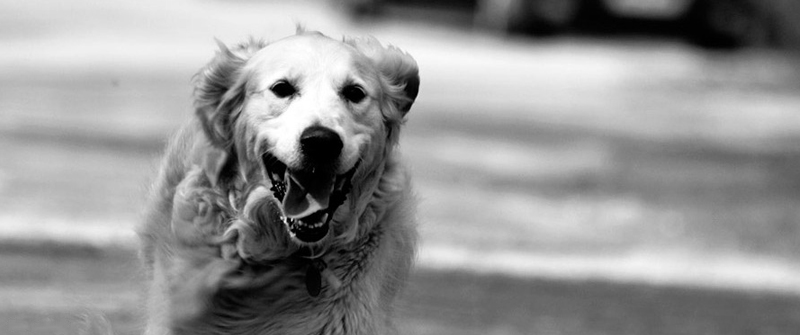 不会跑路的在线DDOS平台攻击